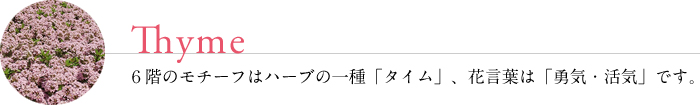 タイム